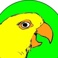 LOGOCSDB LOGOCSDB